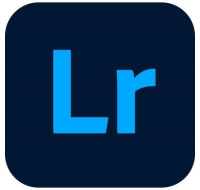 Lightroom w Classic for teams MP ML GOV RNW 1 User, 12 Months, Level 2, 10-49 Lic