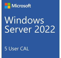 DELL Windows Server 2022 Standard,No Media, WS2019 Std Downgrade w/DVD Media,Multi Lang, Customer Kit