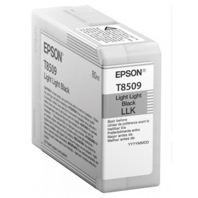 EPSON ink čer ULTRACHROME HD "Kosatka" - Light Light Black - T850900 (80 ml)