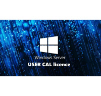 FUJITSU Windows 2025 - WINSVR CAL 1 User
